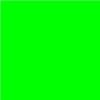 24inx10yd Fluorescent Green Alpha