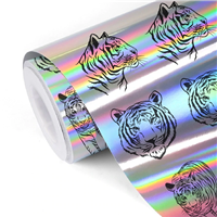 60inx75ft Rainbow Holographic Vinyl