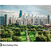 60inx95ft Glass Finish Bird Safety Film