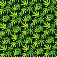 TFP Green Marijuana12inx15in 10pk
